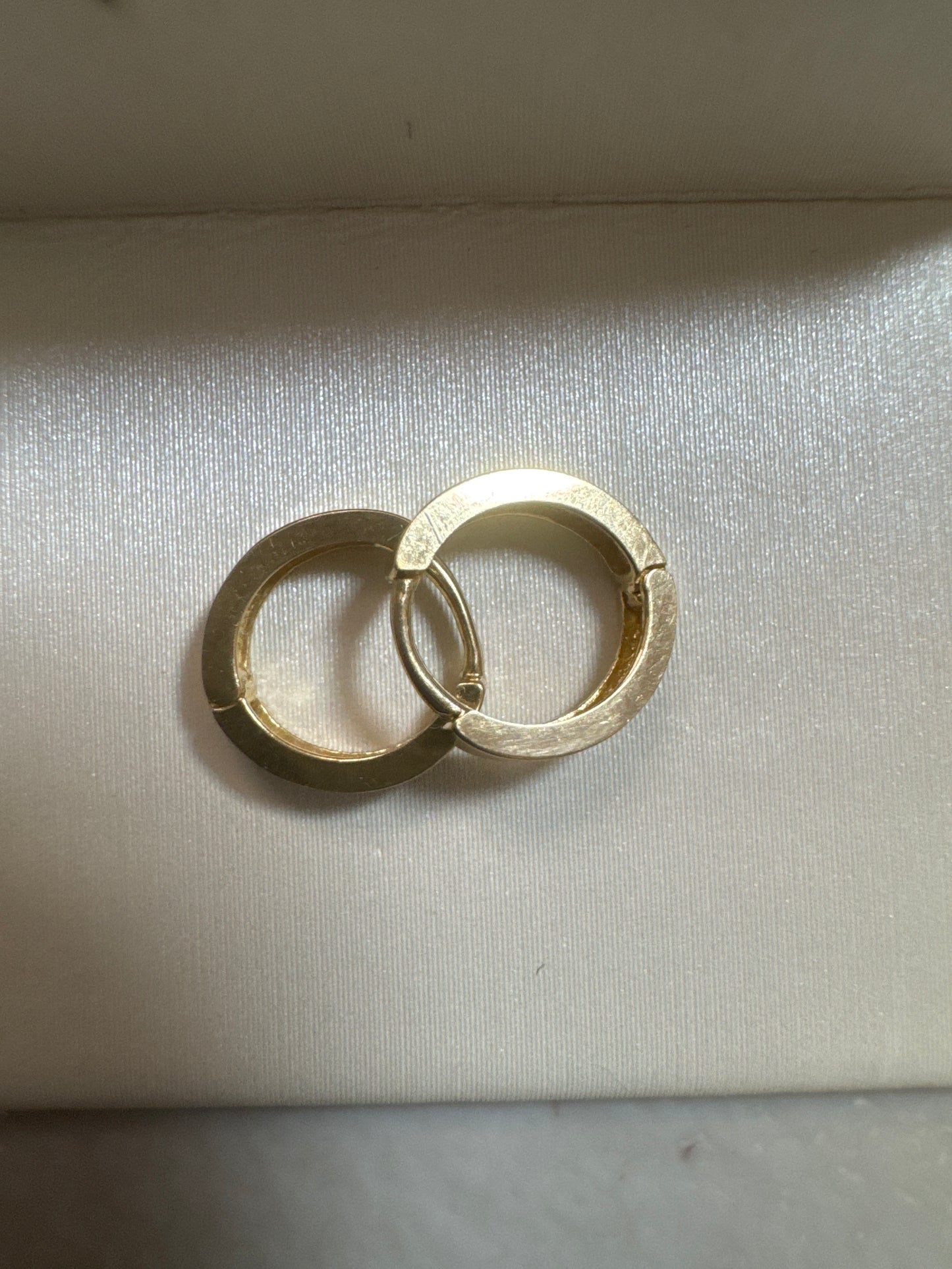 Dilenia Carrasco argollas 14k
