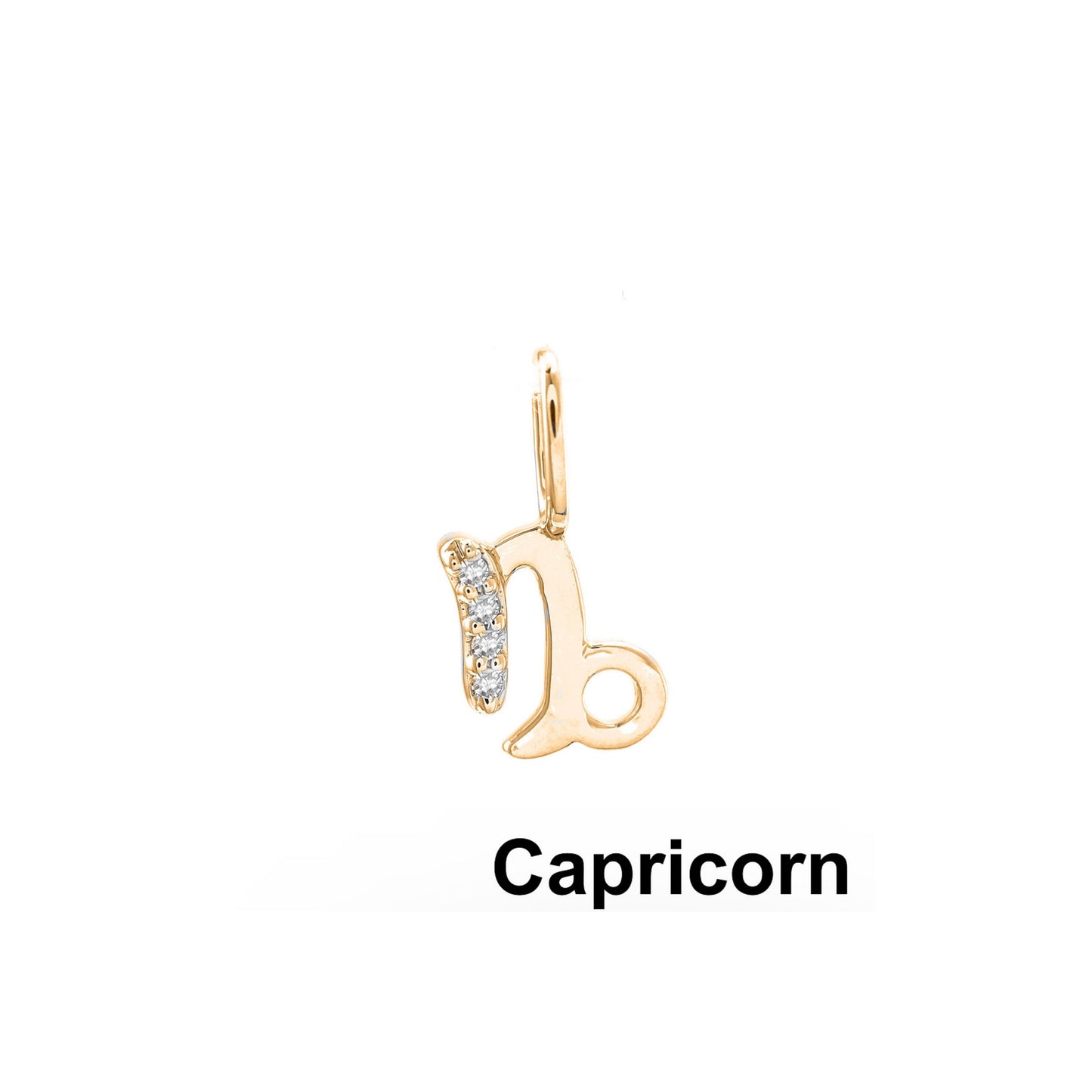 14k Gold Capricorn Zodiac Sign Pendant