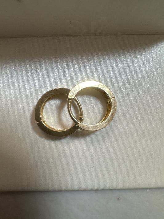 Dilenia Carrasco argollas 14k